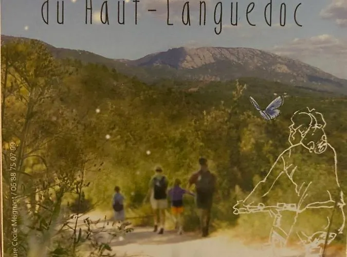 Le Polaire * Mazamet